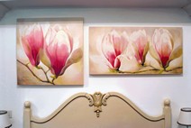 magnolia3
